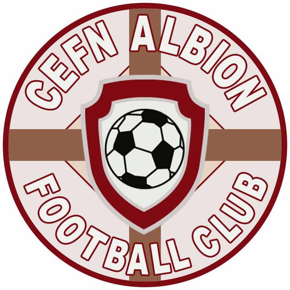Cefn Albion FC (2013)