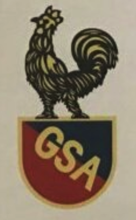 Gallia Sport Alger